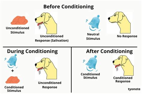 AQA classical conditioning | Teaching Resources