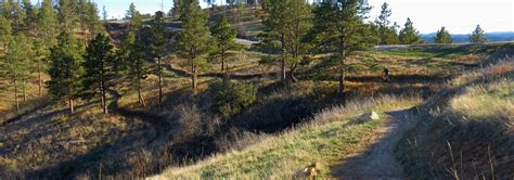 Skyline Drive Wilderness Area — Black Hills Hiking, Biking, and More