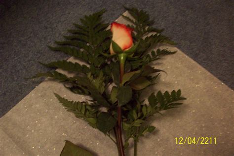 How to Make a Flower Wrap the Right Way. : 6 Steps - Instructables