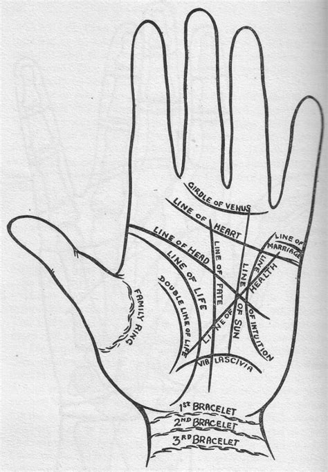 hairstyles: Hand Lines in the Palmistry