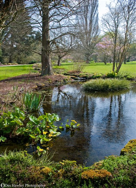 NESS GARDENS #1 | Nice reflections in one of several pools, … | Flickr