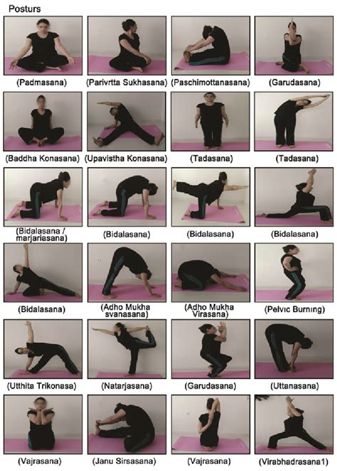 Table 1 from The effect of pregnancy yoga on the pregnant’s ...