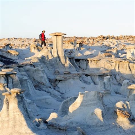 Bisti Wilderness Adventure - Navajo Tours USA