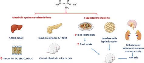 A multifaceted review of monosodium glutamate effects on human health ...