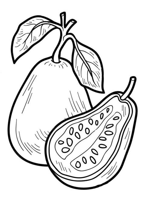 Guayaba Simple para colorear, imprimir e dibujar –ColoringOnly.Com