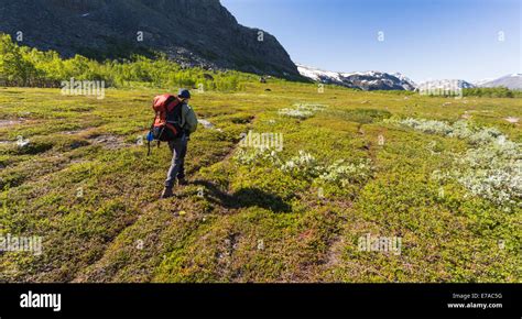 Woman hiking in Swedish mountain area, mountains in backround with snow ...