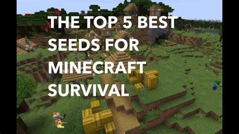 THE TOP 5 BEST MINECRAFT SURVIVAL SEEDS - YouTube