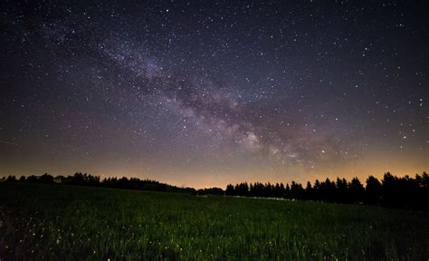 Green grass field under starry night HD wallpaper | Wallpaper Flare