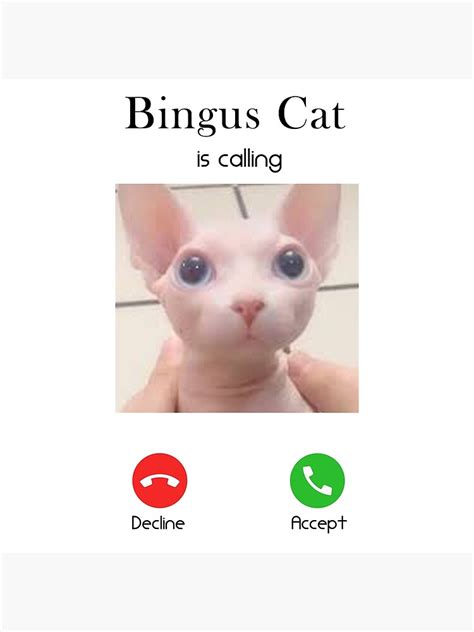 "Bingus Cat is calling, Bingus cat memes" Canvas Print for Sale by ...