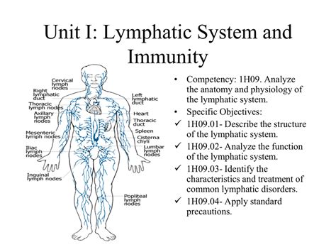 Unit I: Lymphatic System and Immunity