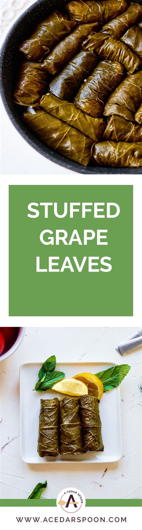 Stuffed Grape Leaves - A Cedar Spoon