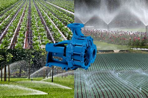 Types of Irrigation Pumps & Where to Use Them | KD Pumps