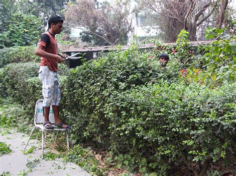 Hello Talalay: Agri Horticultural Society Of India, Kolkata