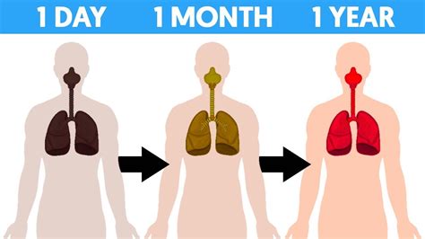 Lungs After Quitting Smoking