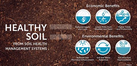 Soil Health – Taos SWCD