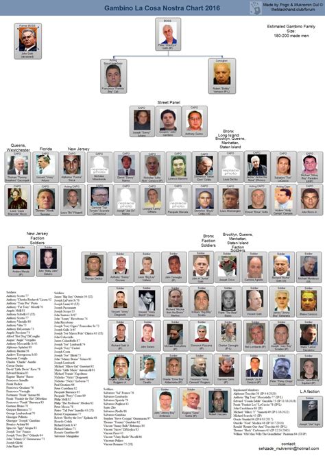 Mafia Family Leadership Charts | About The Mafia | Mafia families ...