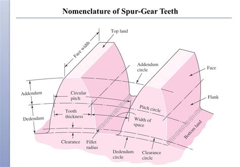 Spur Gear - Design