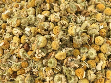 ORGANIC CHAMOMILE TEA // Sleep Tea // Sleepytime Tea // Wind | Etsy