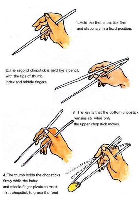 Learning | How to hold chopsticks, Chopsticks, Using chopsticks