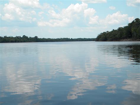 Parque Nacional del Jaú