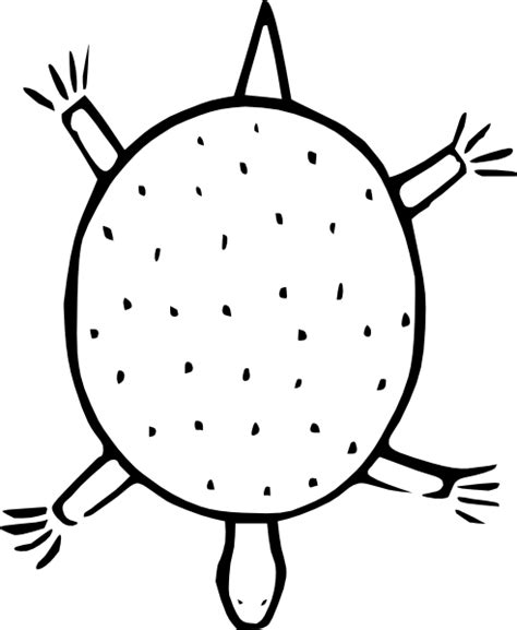 Free Turtle Outline, Download Free Turtle Outline png images, Free ...