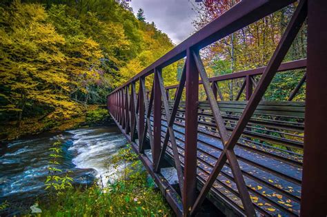 Bike the Virginia Creeper Trail: Thrilling Adventure, Scenic Beauty