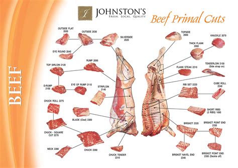 Beef Cuts Chart Printable