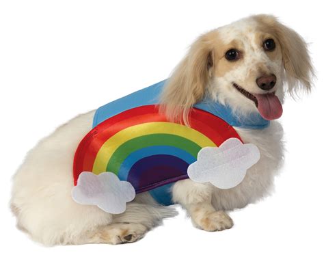 Rainbow Dog Costume | ubicaciondepersonas.cdmx.gob.mx