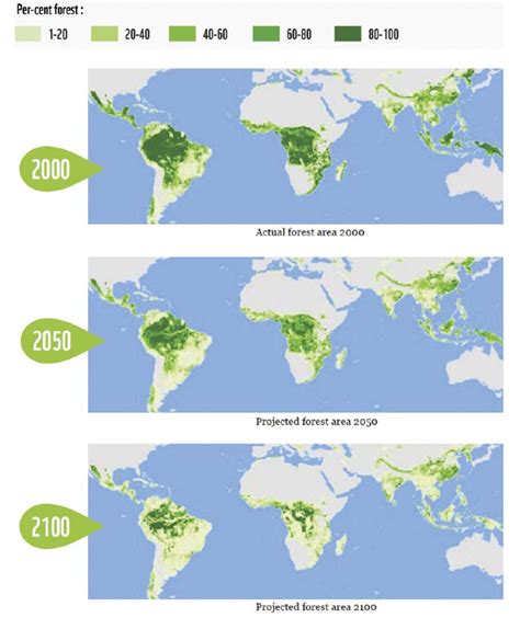 Deforestation