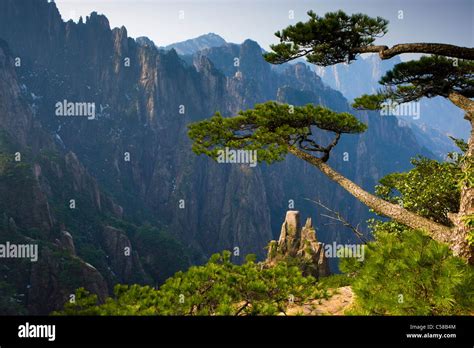 Huangshan, China, Asia, Huangshan, mountains, national park, cliff ...