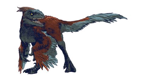 Jurassic world dominion pyroraptor render png by Junior3DSYMas on ...