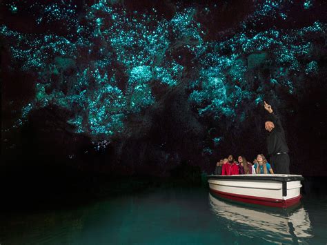 Waitomo Glowworm Caves Tour- Tauranga