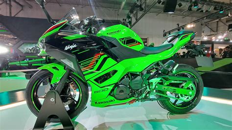 2024 Kawasaki Ninja 500 Hp - Elsa Nolana