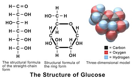 Solutions, Solubility, and Colligative Properties | Chemistry ...