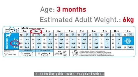 royal canin large breed puppy feeding chart - Train Vodcast Portrait ...