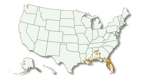 Winn-Dixie Hours And Locations – Hoursmap