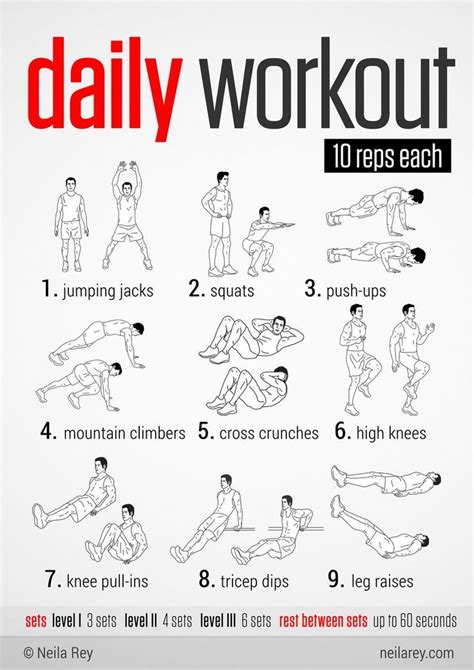 Easy Daily Workout | Easy daily workouts, Daily workout plan, Daily workout