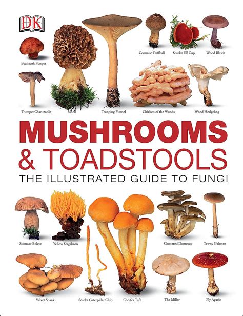 Mushrooms & Toadstools: The Illustrated Guide to Fungi | Amazon.com.br