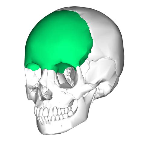 Facial Fractures – Core EM