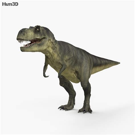 Animated Tyrannosaurus Rex 3D Model Animals On Hum3D, 48% OFF