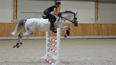 Show jumping with horses - Challenging and fun!