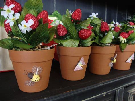 10 Tips for Growing Strawberries - Plant Instructions