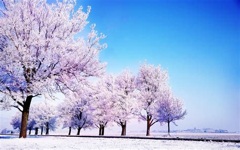 Wallpaper Winter Backgrounds (61+ pictures) - WallpaperSet