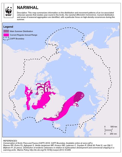 The Narwhal: Species Facts, Info & More | WWF.CA