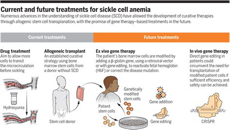 Treating sickle cell anemia | Science