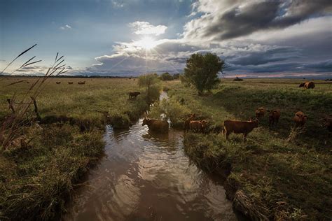 Cow Creek Sunset Photograph by Chris Harris - Fine Art America