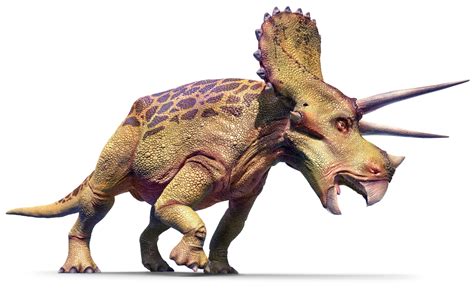 Triceratops | Triceratops Facts | DK Find Out