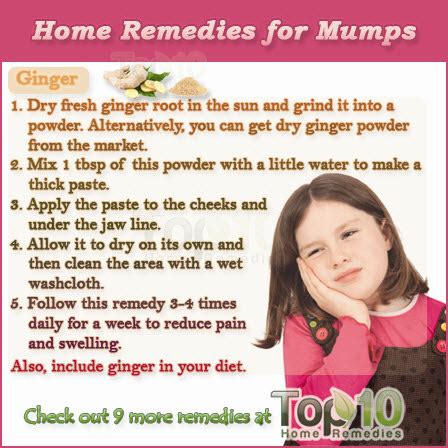 Home Remedies for Mumps | Top 10 Home Remedies