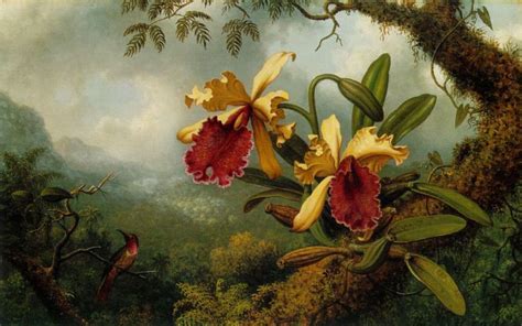 Orchids and Hummingbirds by Martin Johnson-Heade, British Botanist ...