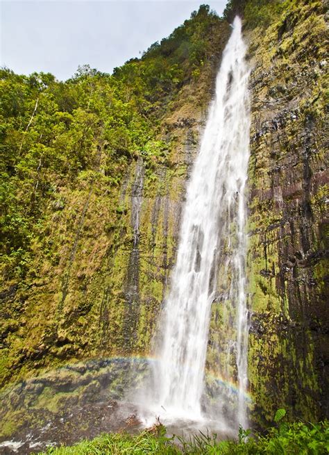 Hana Waterfall & Beach Full Loop Tour & Hana Jungle Tour — Local Maui Tours